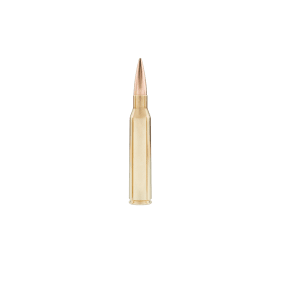 338 Lapua 300gr Subsonic HPBT