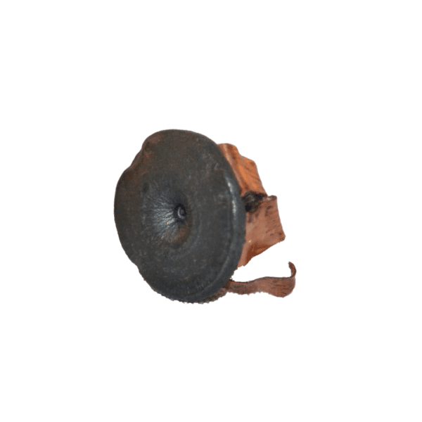 9mm Luger +P 100gr Urban Response – 50 Round Box - Image 2